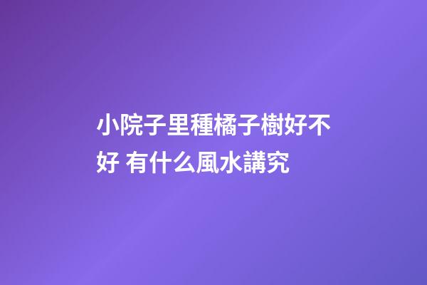 小院子里種橘子樹好不好 有什么風水講究